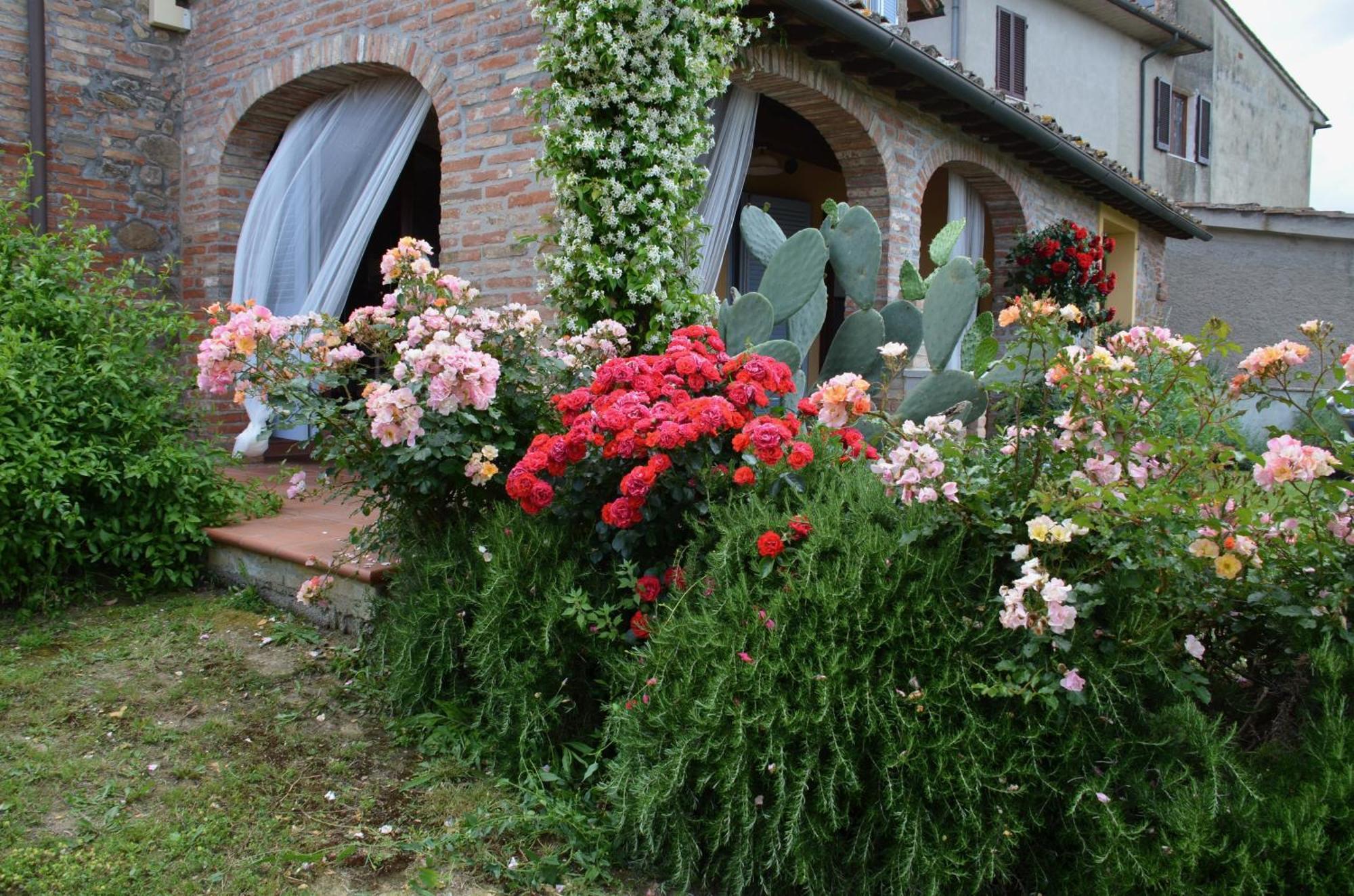 Casa Magnolia Apartment Terricciola Exterior photo